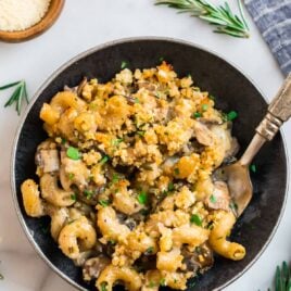 A plate with creamy adult mac and cheese topped with breadcrumbs