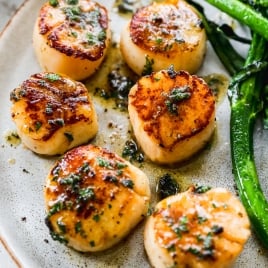 golden pan seared scallops on a plate