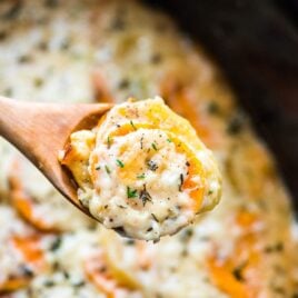 close up photo of a spoon full of crock pot scalloped potatoes